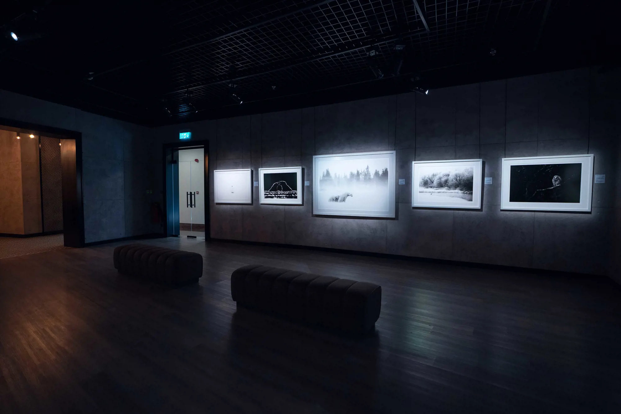 Interior view of one of Gallery X's exhibition halls, showing the retained timber roof