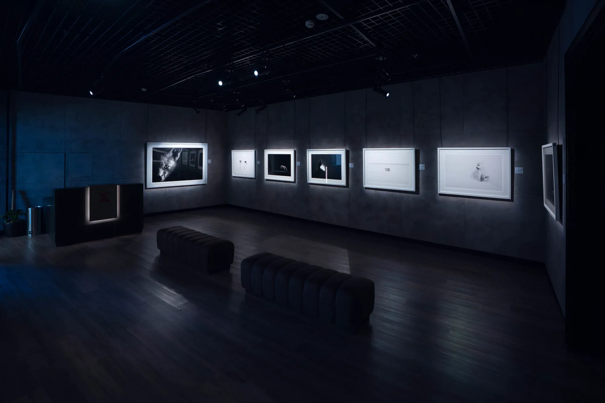 Gallery X exhibition hall, view 1