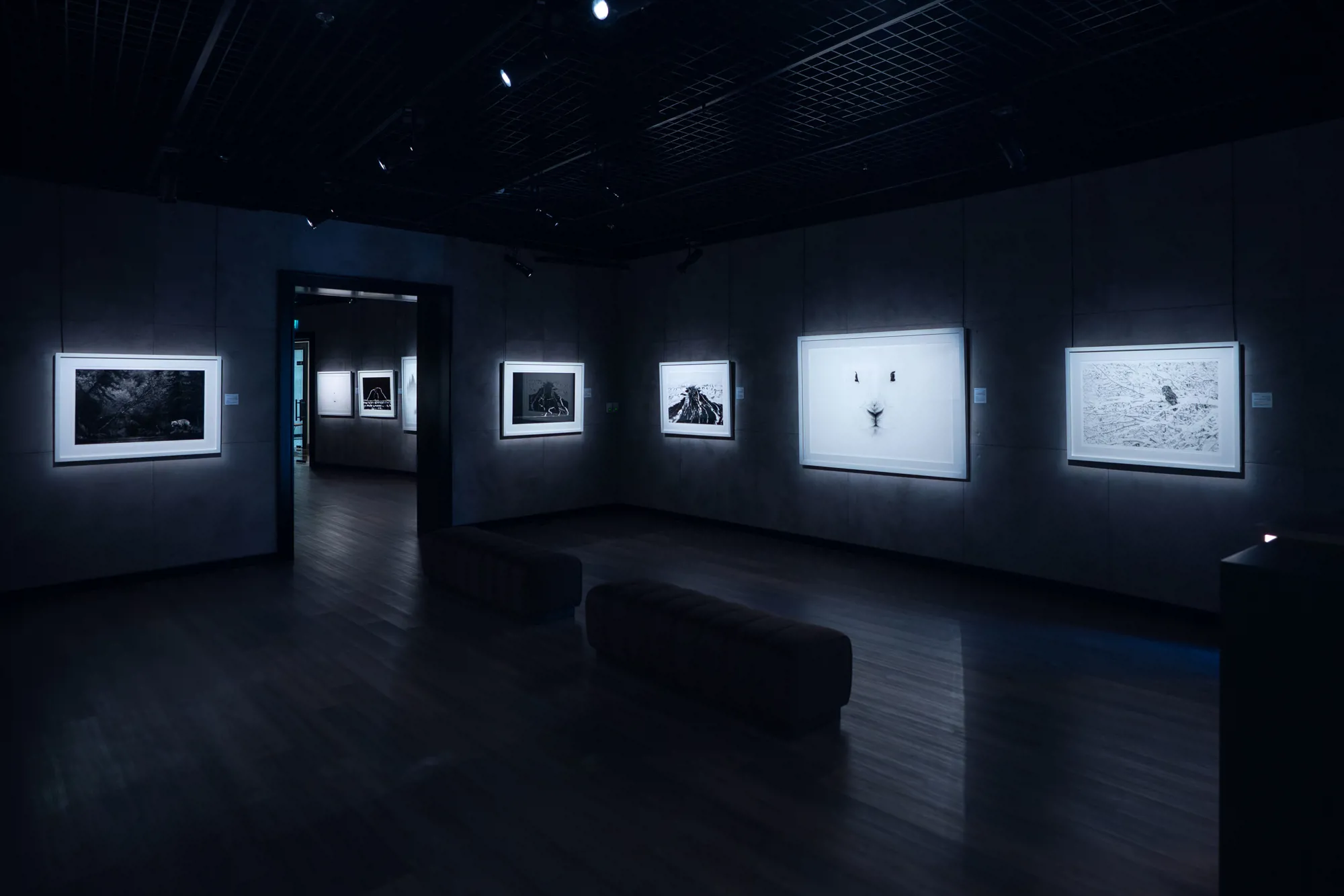 Gallery X exhibition hall, view 2