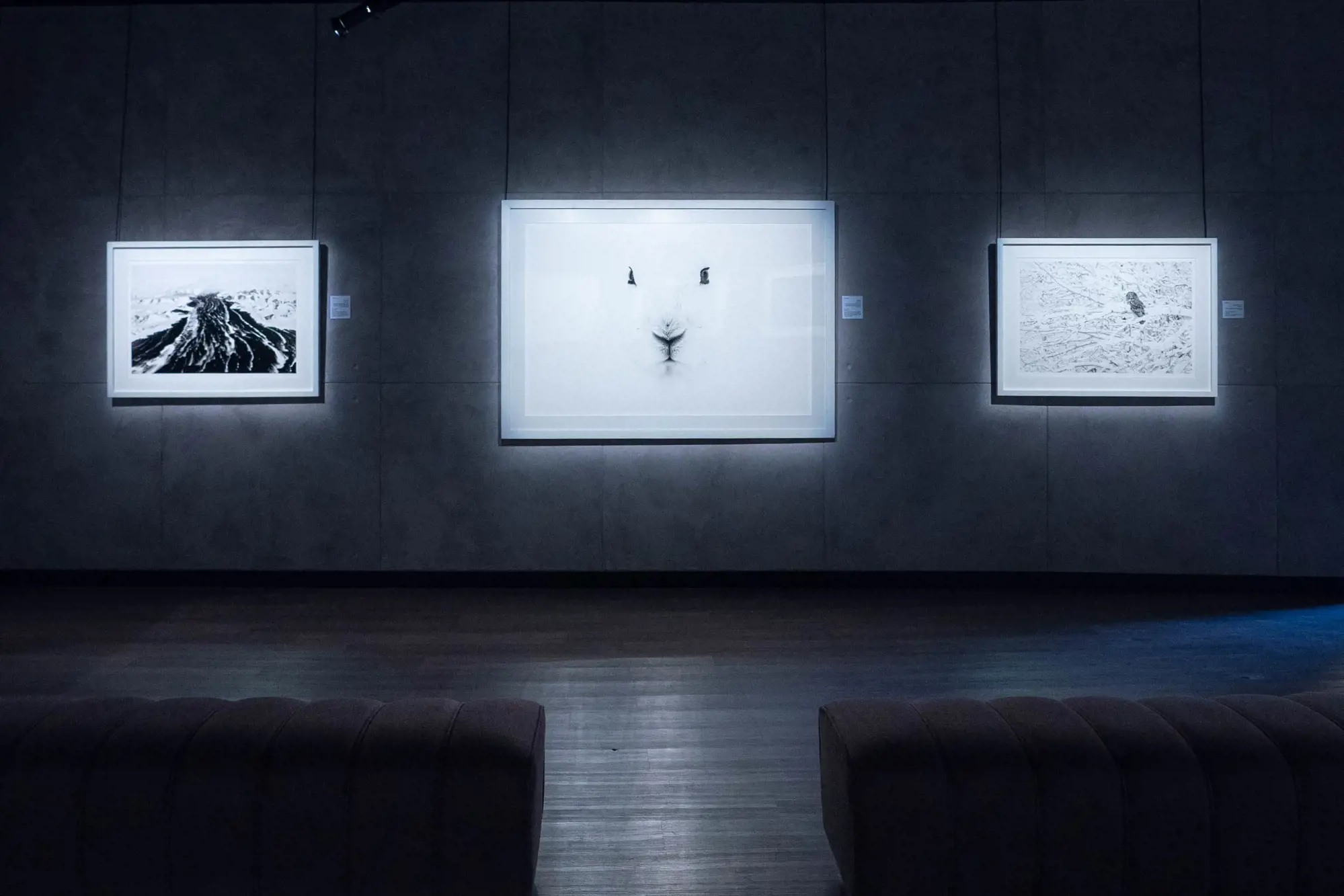 Gallery X exhibition hall, view 3